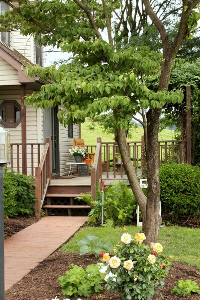 Peaceful, country setting on Fountain Hill Farm