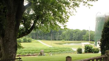 Servei de restauració a l'aire lliure
