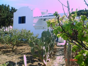Property grounds - Magnificent charming VILLA (Rafraf)