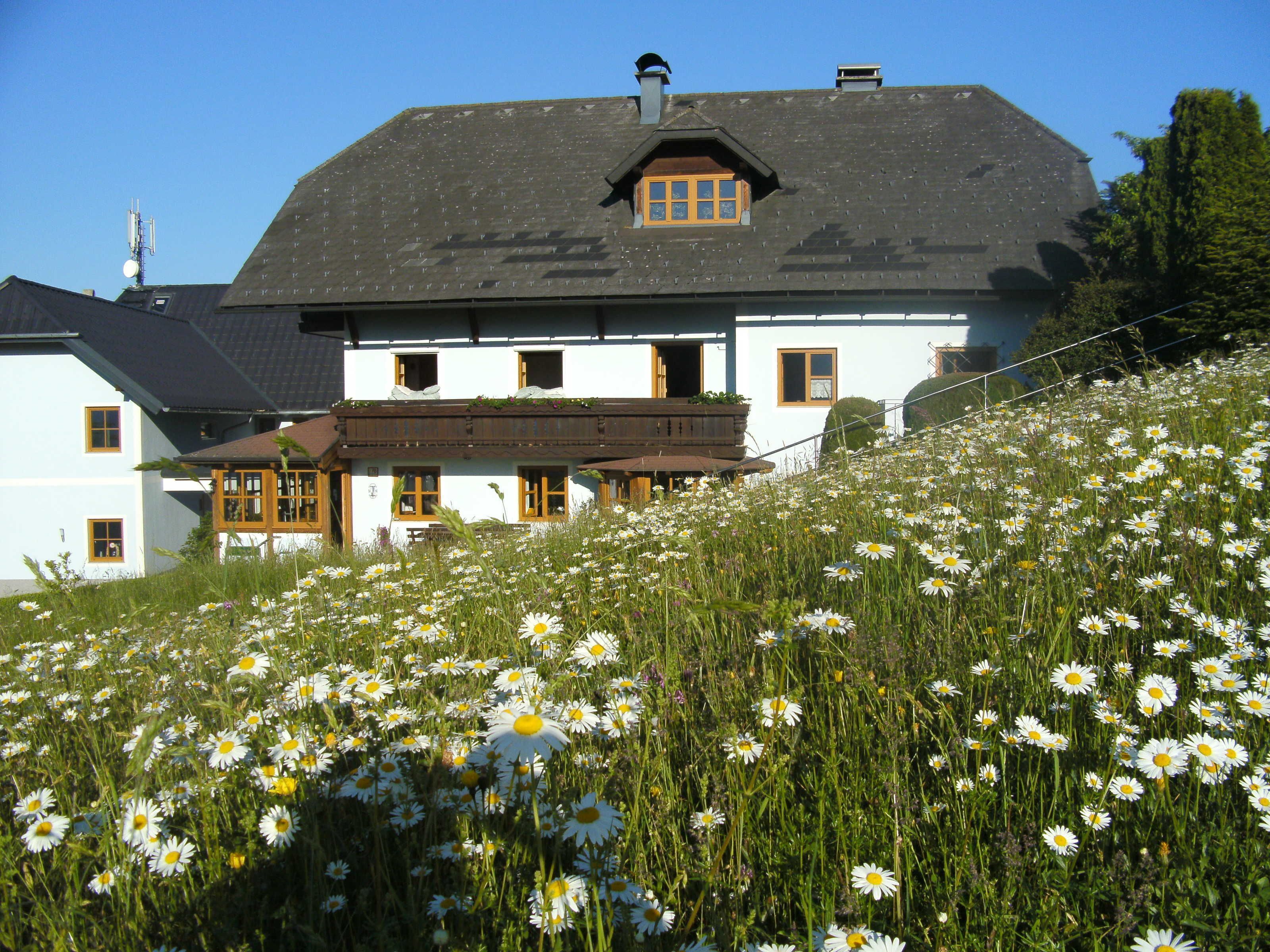 Eksteriør