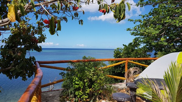 Basic-Zelt | Ausblick vom Zimmer