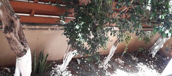 Studio di qualità con buoni collegamenti di trasporto vicino a limassol casino e mare marina mymall
