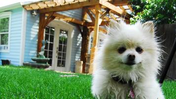 Terrein van de accommodatie