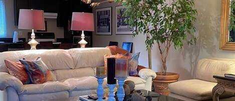 Smart TV, Netflix, Hulu, books