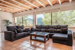 TV, fireplace, DVD player, table tennis