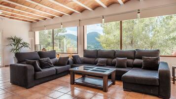 Televisión, chimenea, reproductor de DVD y tenis de mesa