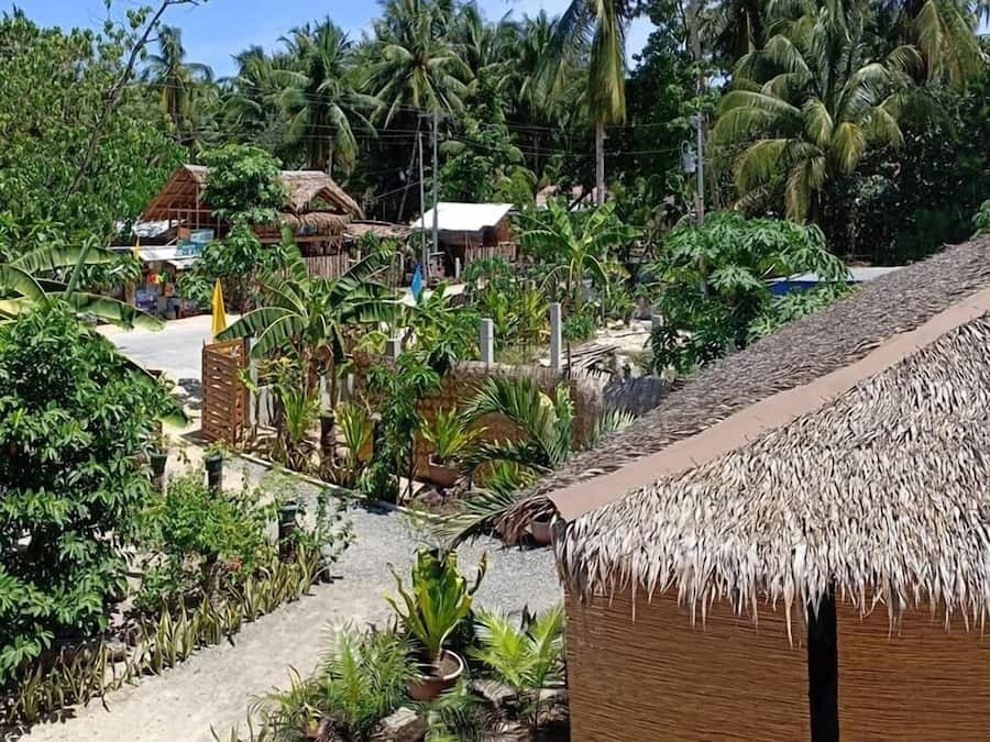 Un resort tropical con edificios de techo de paja, exuberante vegetación y palmeras.