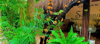 Soeliana Resort