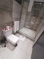 Shower, free toiletries, bidet, towels