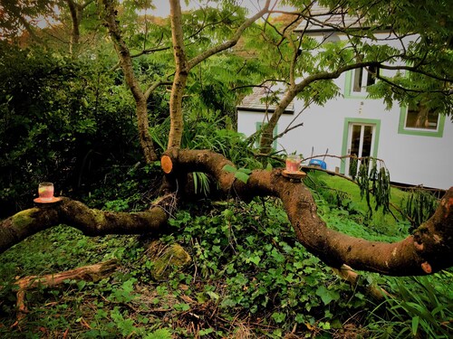 Una casa de campo peculiar, romántica y única, ubicada en un pueblo encantador, que admite perros. 