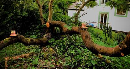 Romantic, quirky Cumbrian cottage, large gardens & parking