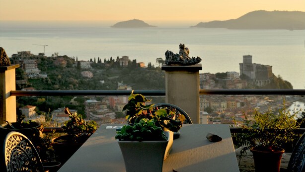 A balcony with potted plants and a view of a coastal cityscape.