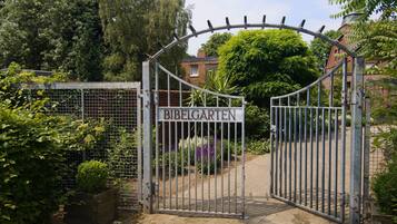 Aktiviti kanak-kanak