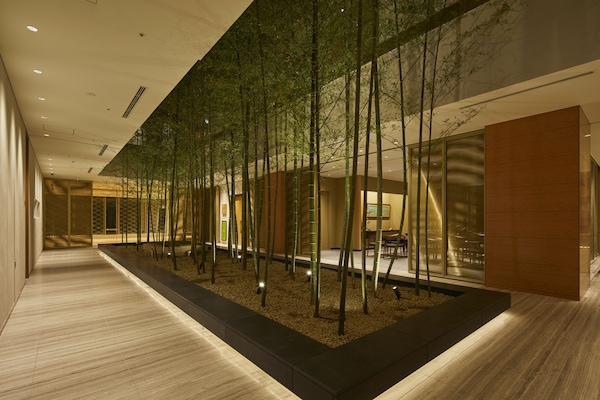 Bar på tagterrassen