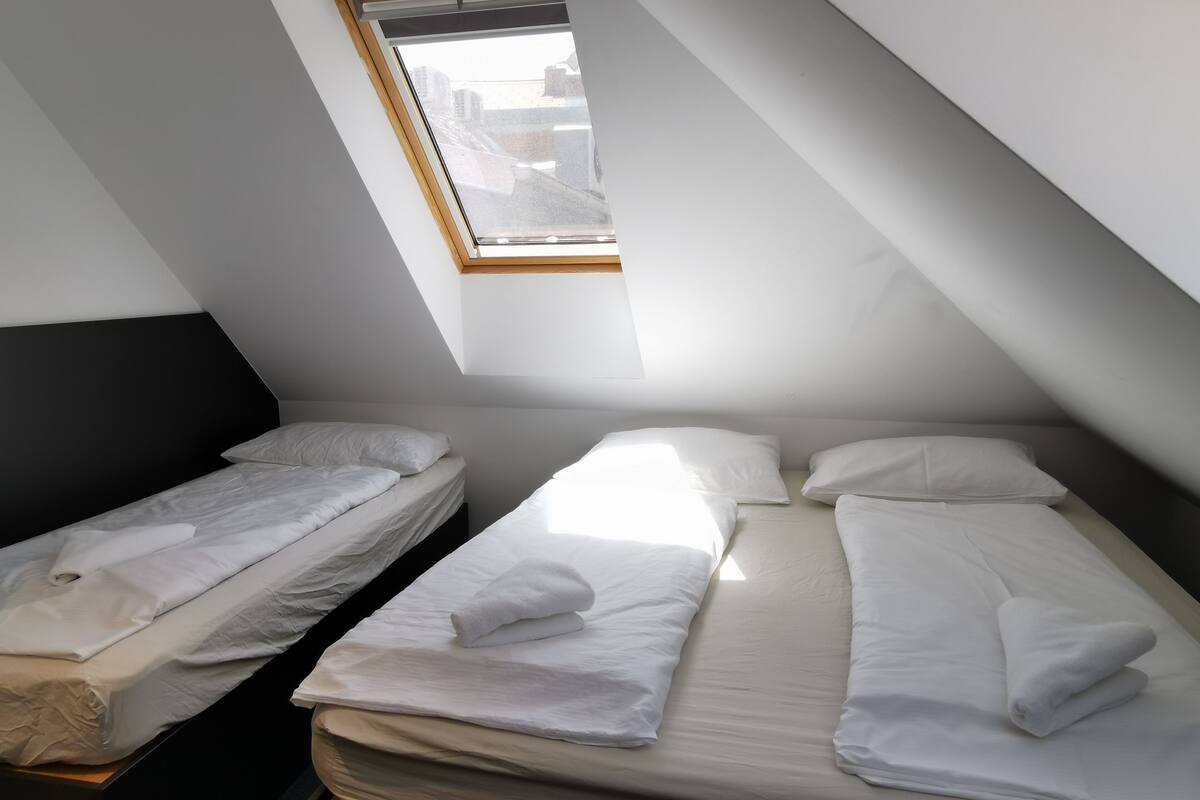 A small, modern room with two single beds, a skylight, and a sloped ceiling.