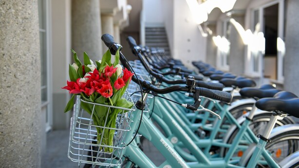 A row of teal bicycles parked along a narrow street with a metal basket containing red flowers on one of the bikes. - Cha Cha Rooms (Ljubljana)