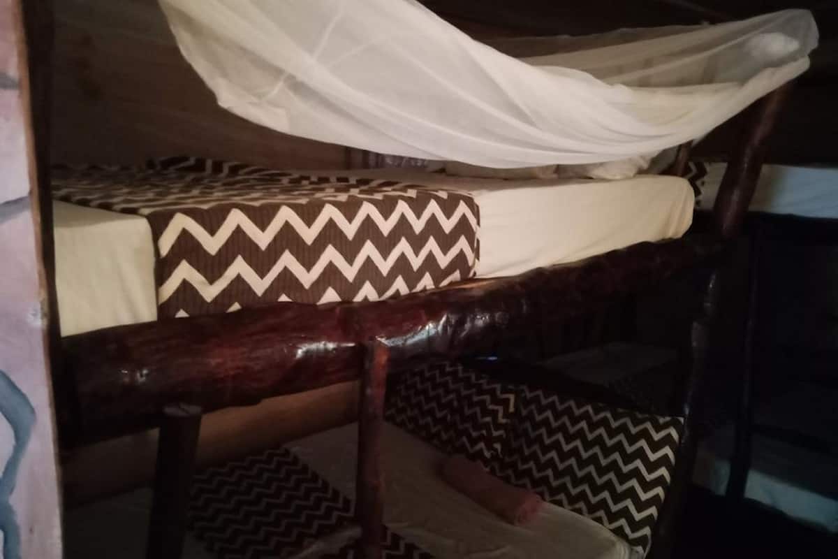 A bunk bed with a patterned mattress and a sheer canopy.