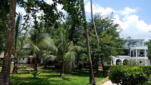 Un exuberante jardín con palmeras y un sendero que lleva a un edificio blanco con balcón.