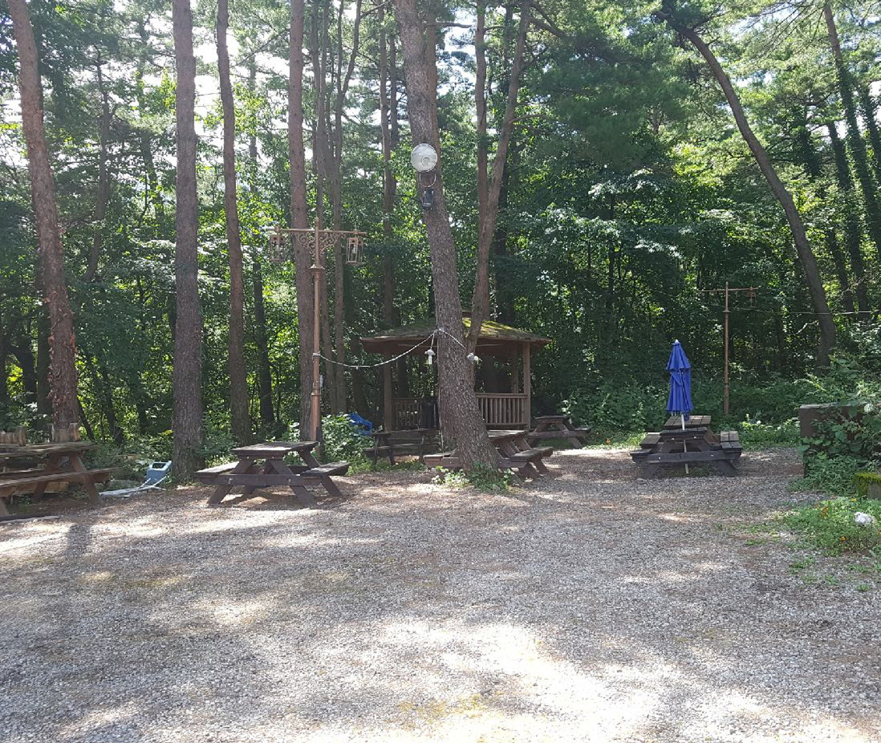 Barbekü/piknik alanı