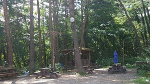 A forested campsite with picnic tables, a small wooden shelter, and a blue umbrella. - Green Resortel (Sokcho)