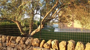 A fenced area with a stone wall and trees. - Country house with pool, renovated and well furnished (San Lorenzo)