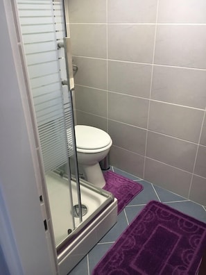 Une salle de bain avec des toilettes, une douche dotée d’une porte en verre et un tapis violet sur le sol.