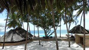 Beach - Warm Sea Sand (Diani Beach)