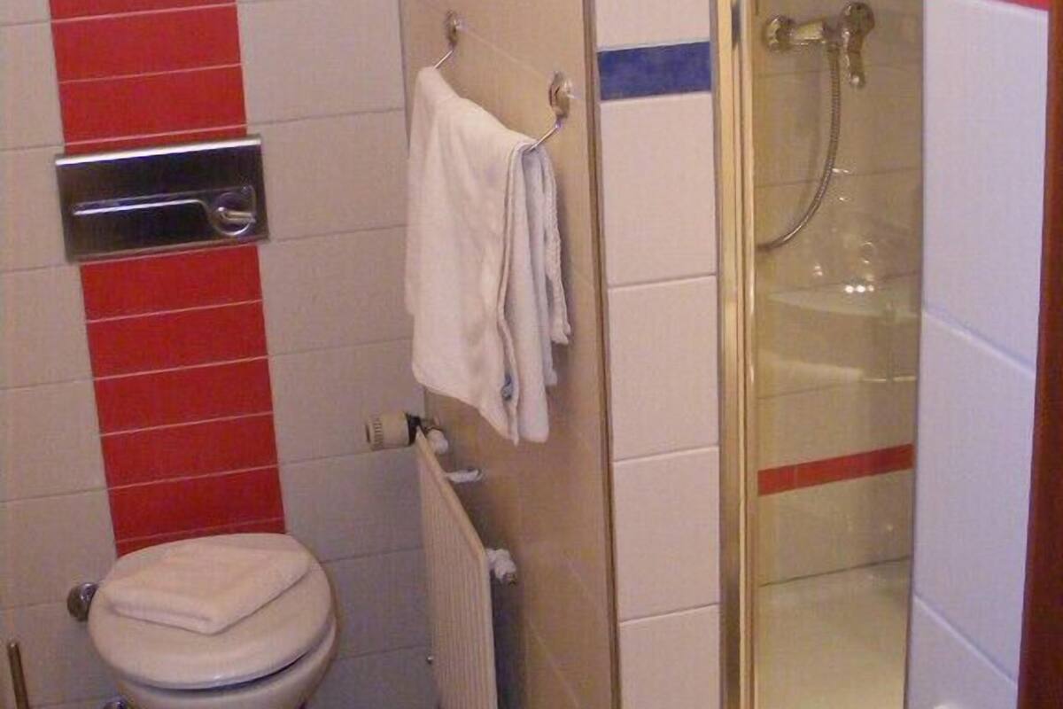 Un baño con inodoro, toallero, ducha y radiador.