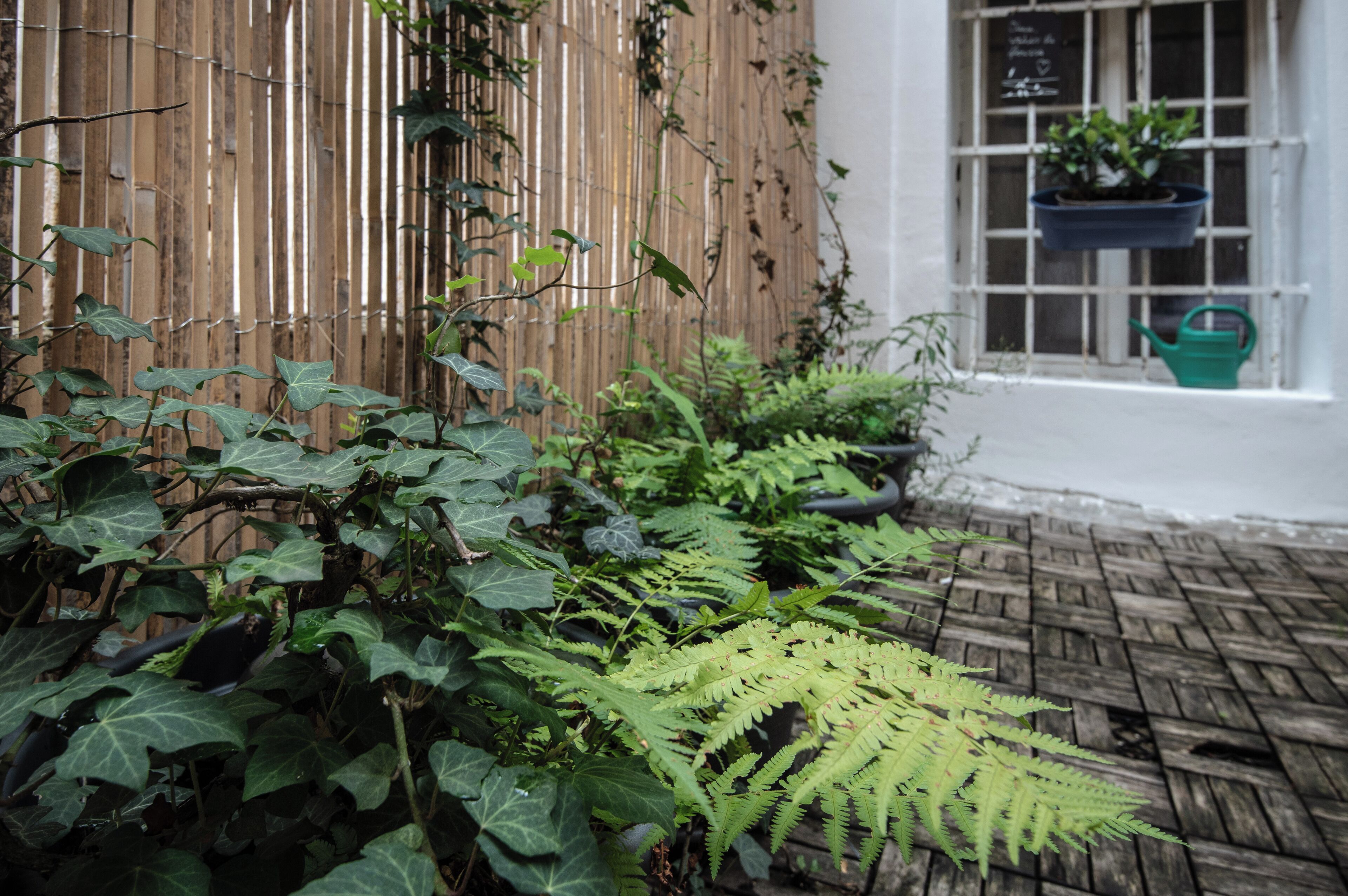 Phòng đôi hoặc 2 giường đơn, phòng tắm dùng chung | Hiên