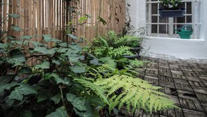 A garden area with a wooden fence, various plants, and a window with a potted plant and a watering can. - Charles Bridge Economic Hostel (Prague)