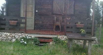 Darwin Agricamping Bungalow