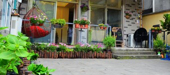 Dream House Qingchengshan