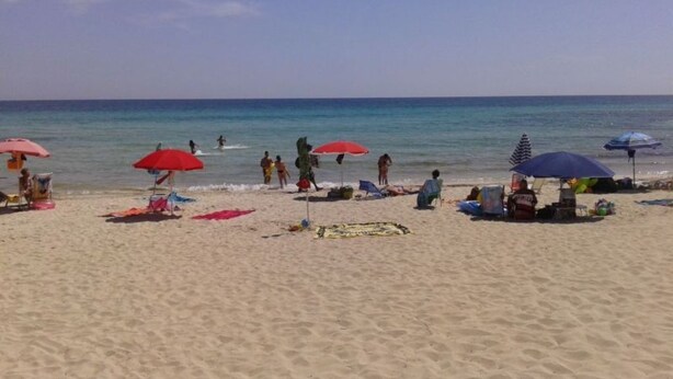 Une plage avec plusieurs parasols et des gens.