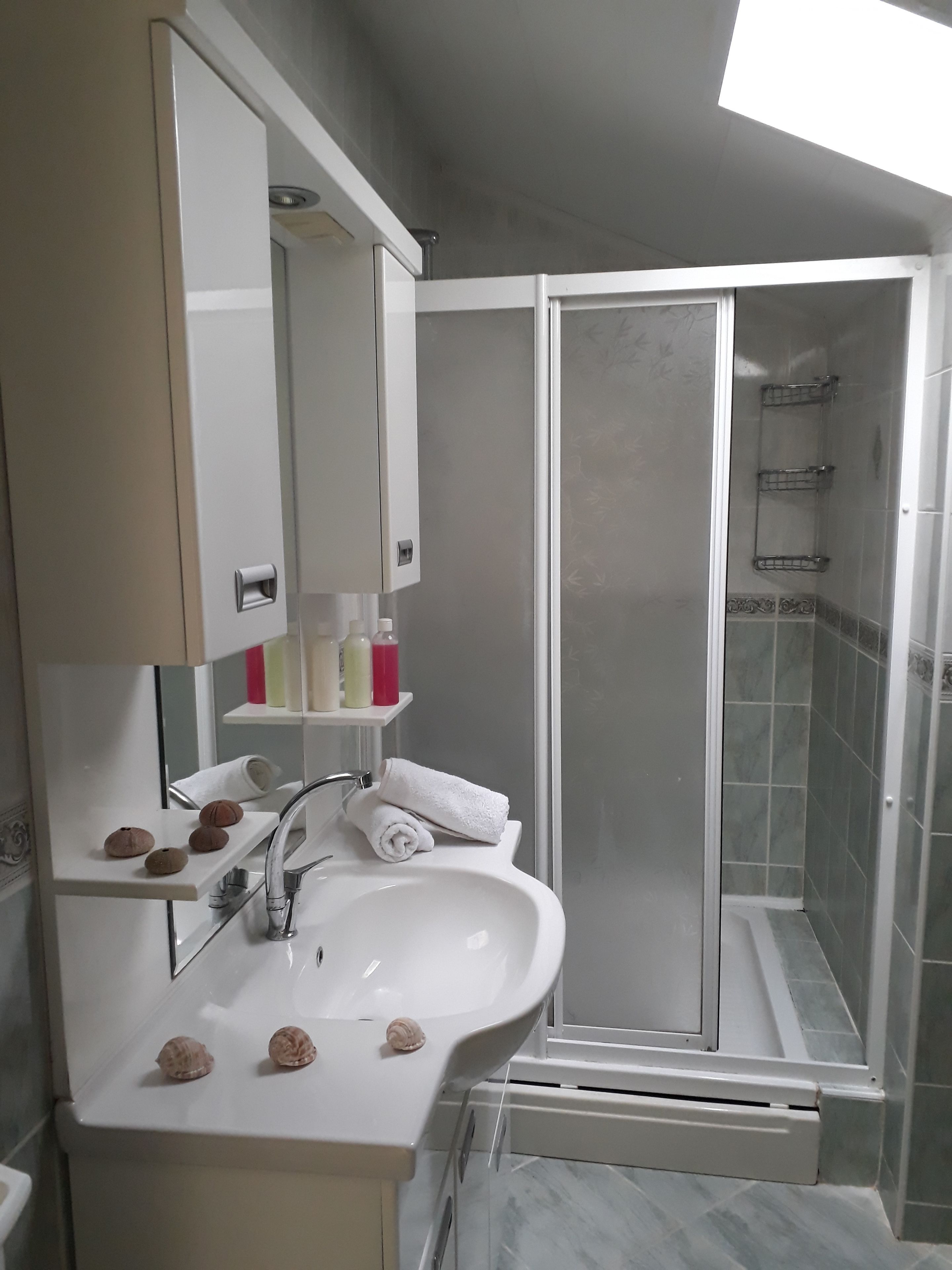 deluxe suite | bathroom | shower, towels, soap, toilet paper