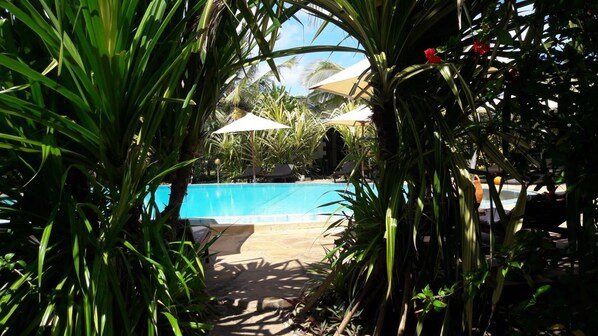 Outdoor pool, pool loungers
