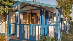 A blue and white cabin-style building with a covered porch and a small deck. - Camping Os Fieitás (O Grove)