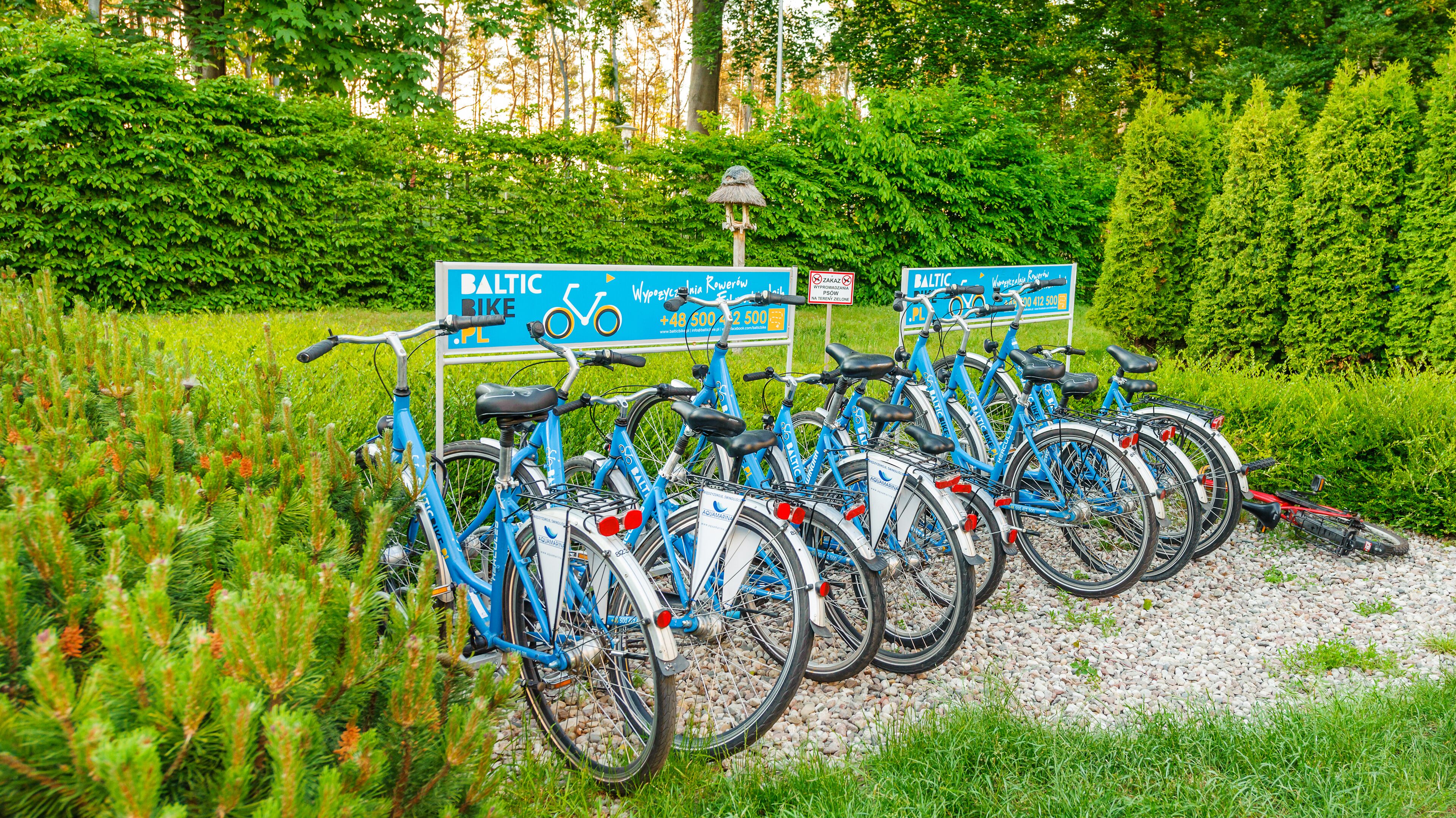 A row of blue bicycles parked in a gravel area with a sign indicating a bike rental service.