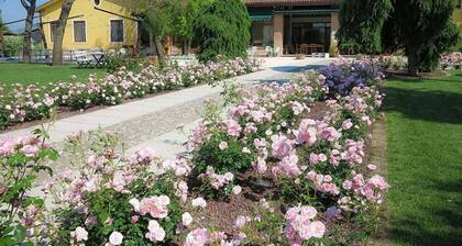 Agriturismo La Borina