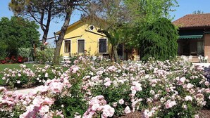 En gul byggnad med ett tak täckt av tegelpannor, omgiven av en trädgård med rosa och vita rosor.