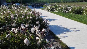 En stig kantad med vita blommor leder fram till en byggnad med ett överbyggt område.