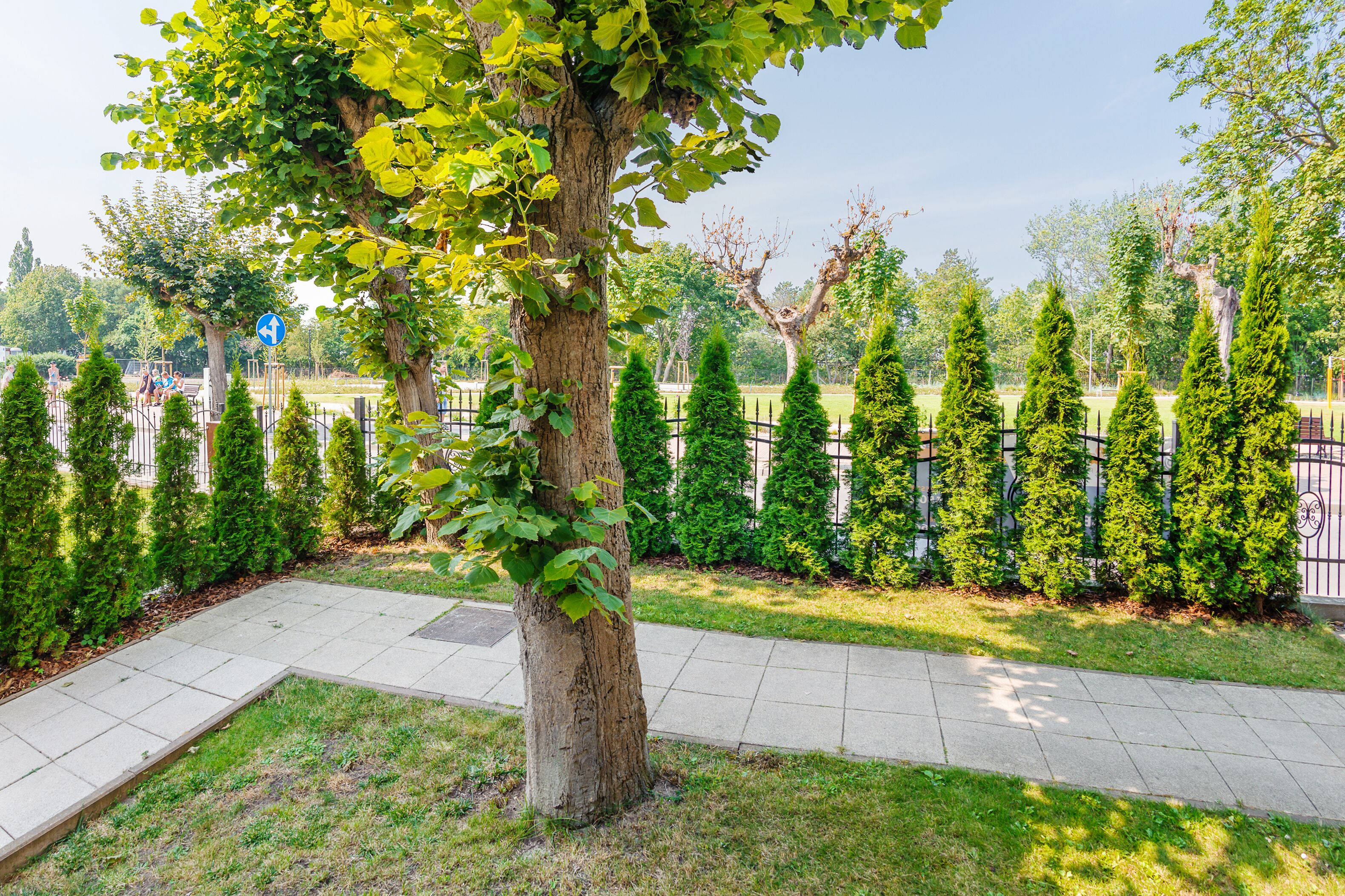Un chemin piétonnier dallé, bordé d’arbres et agrémenté de haies soigneusement taillées.