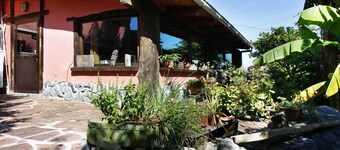 Art and Relax - Paperki enea