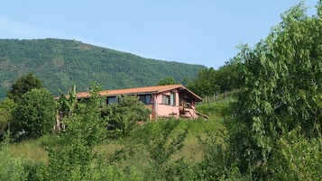 Ein rosafarbenes Haus mit rotem Dach, umgeben von üppigem Grün und Hügeln im Hintergrund.
