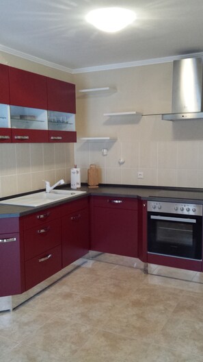 Apartment, 1 Double Bed with Sofa bed | Private kitchen | Full-size fridge, oven, stovetop, coffee/tea maker - Ferienwohnungen Posthotel (Bad Bertrich)