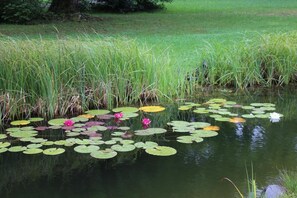 Property grounds - Ferienwohnungen Posthotel (Bad Bertrich)