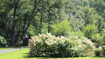 Khuôn viên nơi lưu trú