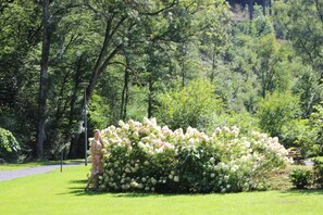 Property grounds - Ferienwohnungen Posthotel (Bad Bertrich)