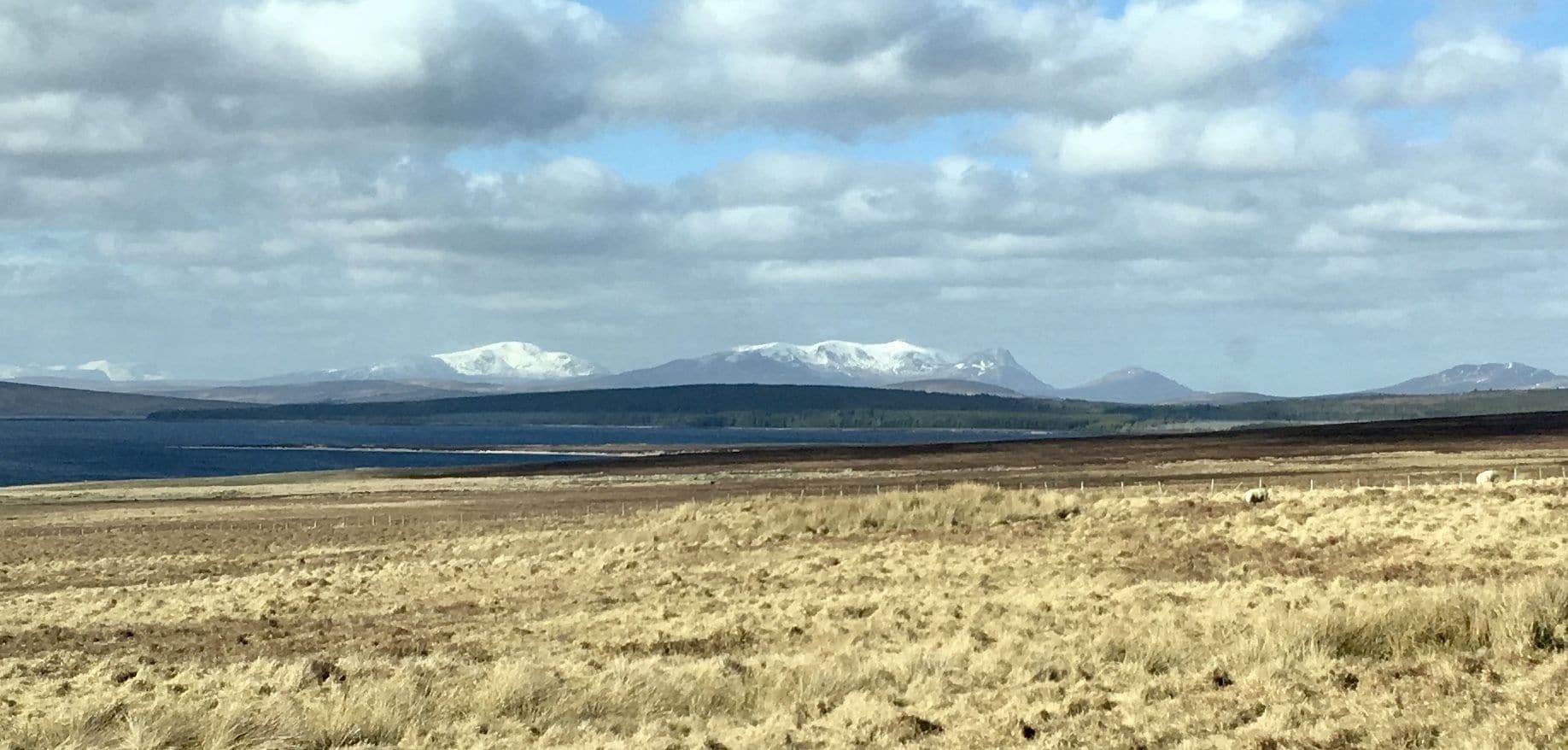 A vast, open landscape with a body of water and distant snow-capped mountains under a cloudy sky.