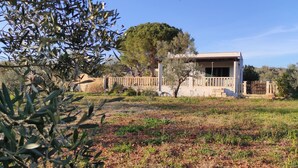 Una casa con patio cercado, un árbol y cielo despejado.