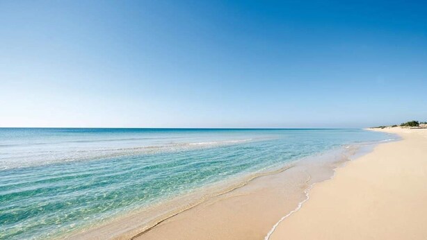Una playa con aguas azules cristalinas y una orilla arenosa.